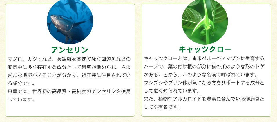 恵プレ　成分1
